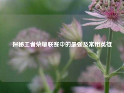 探秘王者荣耀联赛中的最强及常用英雄