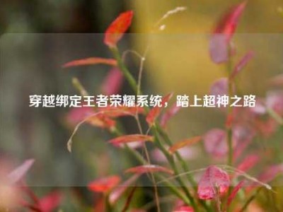 穿越绑定王者荣耀系统，踏上超神之路