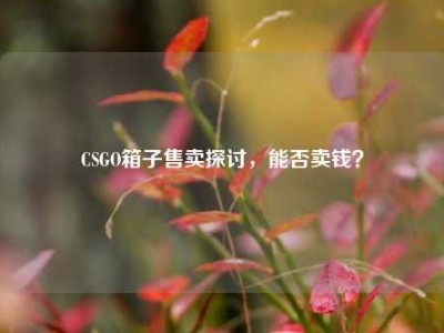 CSGO箱子售卖探讨，能否卖钱？