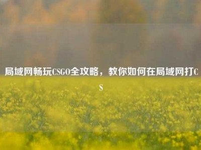局域网畅玩CSGO全攻略，教你如何在局域网打CS