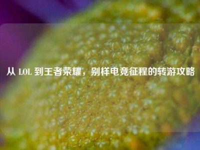 从 LOL 到王者荣耀，别样电竞征程的转游攻略