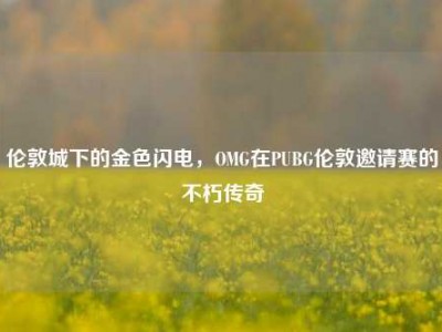 伦敦城下的金色闪电，OMG在PUBG伦敦邀请赛的不朽传奇