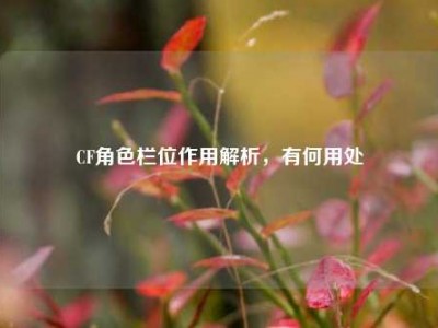 CF角色栏位作用解析，有何用处