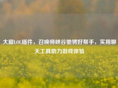 大脚LOL插件，召唤师峡谷驰骋好帮手，实用聊天工具助力游戏体验