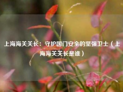 上海海关关长：守护国门安全的坚强卫士（上海海关关长是谁）
