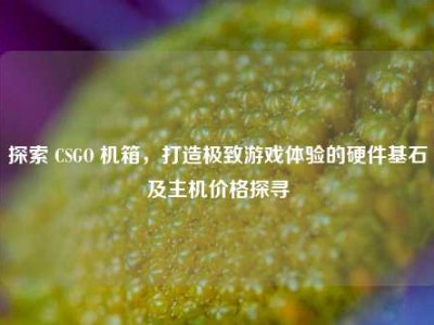 探索 CSGO 机箱，打造极致游戏体验的硬件基石及主机价格探寻