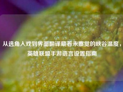 从选角入戏到界面翻译藏着未察觉的峡谷温度，英雄联盟手游语言设置指南