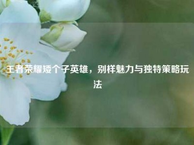 王者荣耀矮个子英雄，别样魅力与独特策略玩法
