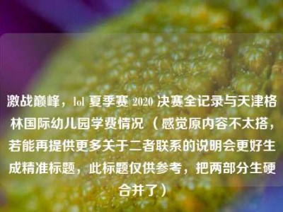 激战巅峰，lol 夏季赛 2020 决赛全记录与天津格林国际幼儿园学费情况 （感觉原内容不太搭，若能再提供更多关于二者联系的说明会更好生成精准标题，此标题仅供参考，把两部分生硬合并了）