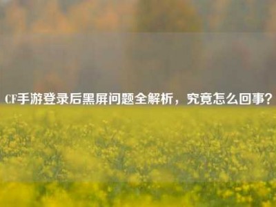 CF手游登录后黑屏问题全解析，究竟怎么回事？