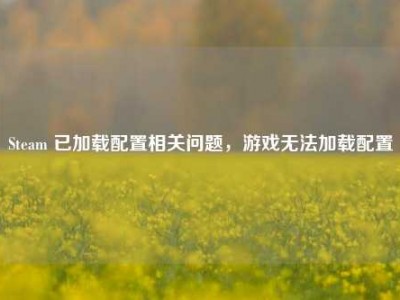 Steam 已加载配置相关问题，游戏无法加载配置