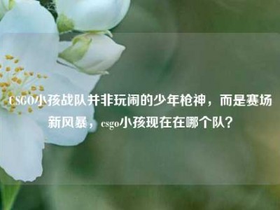 CSGO小孩战队并非玩闹的少年枪神，而是赛场新风暴，csgo小孩现在在哪个队？