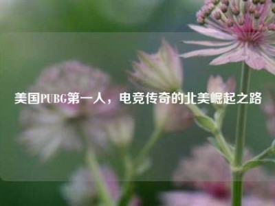 美国PUBG第一人，电竞传奇的北美崛起之路