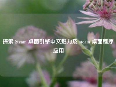 探索 Steam 桌面引擎中文魅力及 steam 桌面程序应用