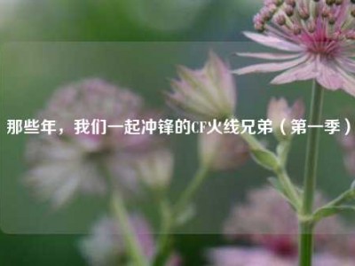 那些年，我们一起冲锋的CF火线兄弟（第一季）
