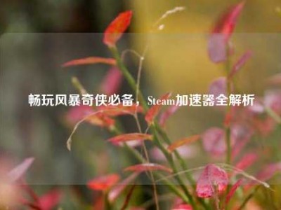 畅玩风暴奇侠必备，Steam加速器全解析