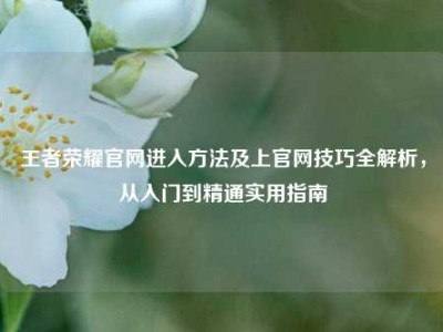 王者荣耀官网进入方法及上官网技巧全解析，从入门到精通实用指南