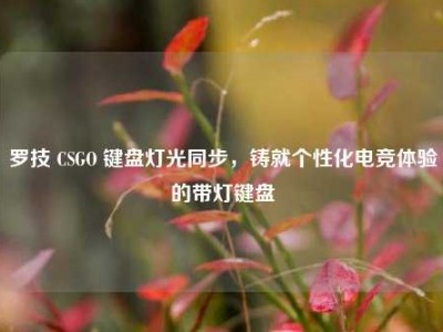 罗技 CSGO 键盘灯光同步，铸就个性化电竞体验的带灯键盘