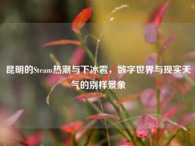 昆明的Steam热潮与下冰雹，数字世界与现实天气的别样景象
