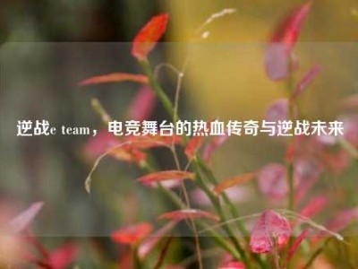 逆战e team，电竞舞台的热血传奇与逆战未来