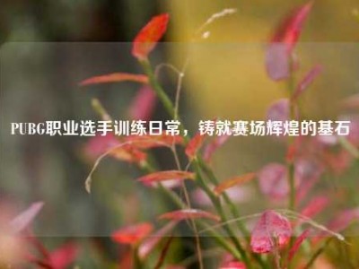 PUBG职业选手训练日常，铸就赛场辉煌的基石