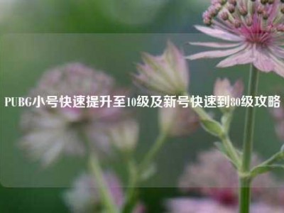 PUBG小号快速提升至10级及新号快速到80级攻略