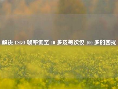 解决 CSGO 帧率低至 10 多及每次仅 100 多的困扰