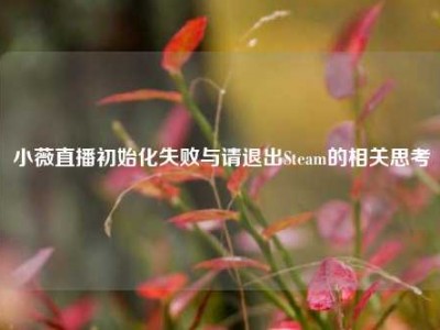 小薇直播初始化失败与请退出Steam的相关思考