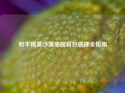 和平精英沙漠地图背包选择全指南