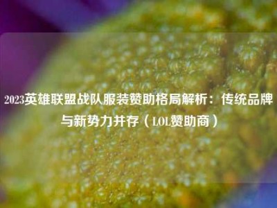 2023英雄联盟战队服装赞助格局解析：传统品牌与新势力并存（LOL赞助商）