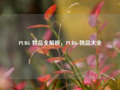 PUBG 物品全解析，PUBG 物品大全