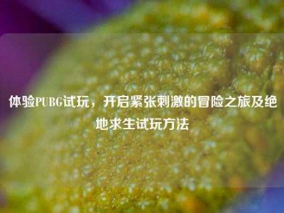 体验PUBG试玩，开启紧张刺激的冒险之旅及绝地求生试玩方法