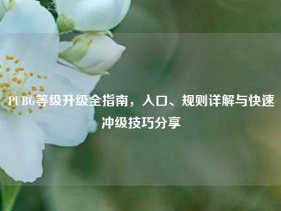 PUBG等级升级全指南，入口、规则详解与快速冲级技巧分享