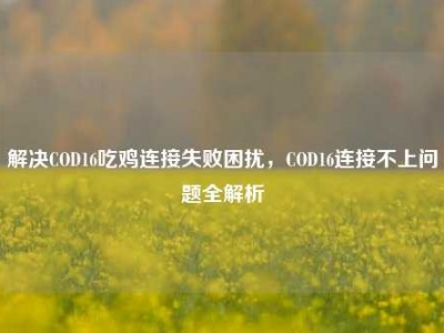 解决COD16吃鸡连接失败困扰，COD16连接不上问题全解析