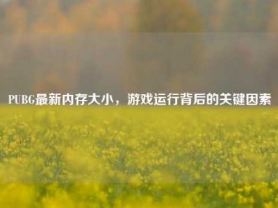 PUBG最新内存大小，游戏运行背后的关键因素