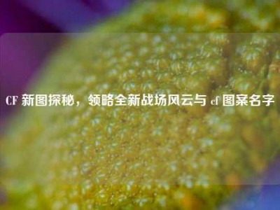 CF 新图探秘，领略全新战场风云与 cf 图案名字