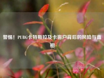 警惕！PUBG卡特斯拉及卡窗户背后的风险与真相