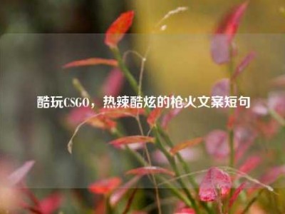 酷玩CSGO，热辣酷炫的枪火文案短句