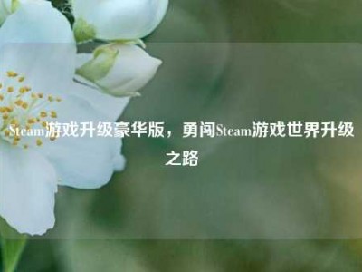 Steam游戏升级豪华版，勇闯Steam游戏世界升级之路