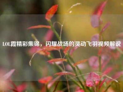 LOL霞精彩集锦，闪耀战场的灵动飞羽视频解说