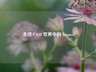 走进 CSGO 世界中的 Jasoner