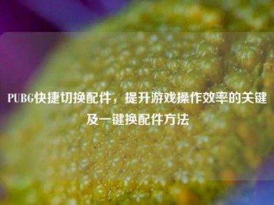 PUBG快捷切换配件，提升游戏操作效率的关键及一键换配件方法