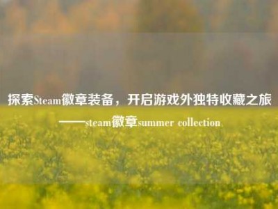 探索Steam徽章装备，开启游戏外独特收藏之旅——steam徽章summer collection
