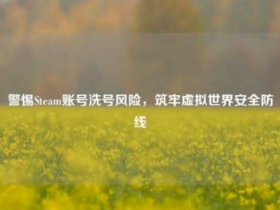 警惕Steam账号洗号风险，筑牢虚拟世界安全防线