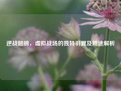 逆战翅膀，虚拟战场的独特羽翼及用途解析