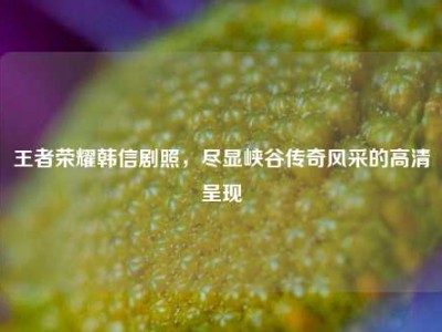 王者荣耀韩信剧照，尽显峡谷传奇风采的高清呈现