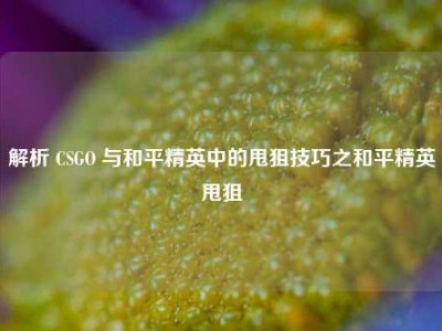 解析 CSGO 与和平精英中的甩狙技巧之和平精英甩狙