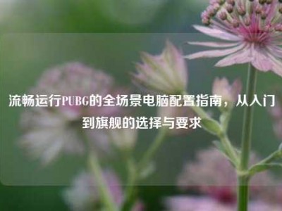 流畅运行PUBG的全场景电脑配置指南，从入门到旗舰的选择与要求