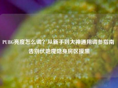 PUBG亮度怎么调？从新手到大神通用调参指南 告别伏地魔隐身房区摸黑
