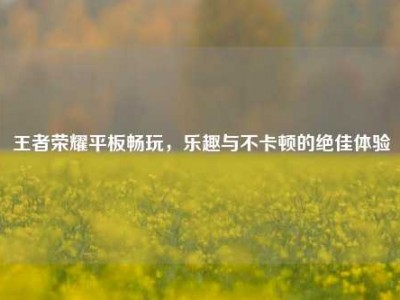 王者荣耀平板畅玩，乐趣与不卡顿的绝佳体验